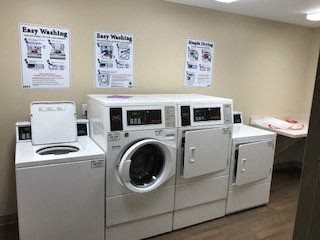 Gallery Photo 25